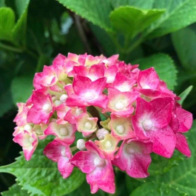 レイキヒーリング,レイキヒーリング熊本,レイキヒーリング講座,原因不明の体調不良,熊本レイキヒーリング,レイキヒーリング改善,レイキヒーリング施術,アクセスバーズ施術,アクセスバーズ改善,原因不明の体調不良改善,講座,熊本,